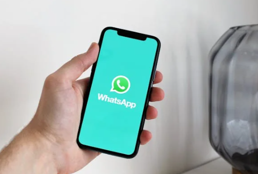 logicalshout updates whatsapp