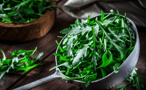 arugula researcher at cambridge